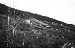Gårdene Nordåsland og Søråsland i Nordbygda fotografert fra 