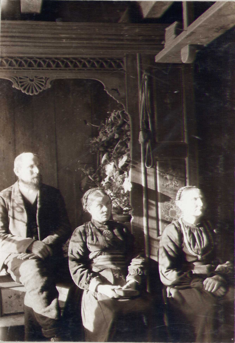 Stueinteriør med to damer og en mann, Tho, Hjartdal, Telemark. Fotografert 1909.