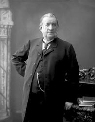 Portrett, mann i dress, kinneskjegg. Herr fogd Garber.