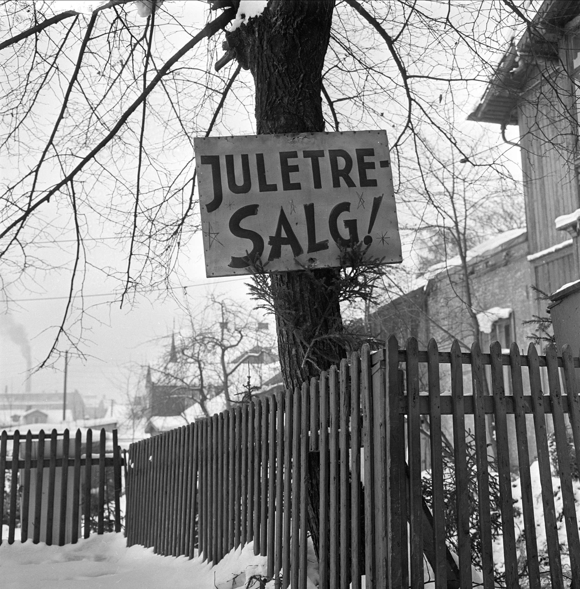 Salg av juletrær, Trondheimsveien, Oslo 03.01.1963.