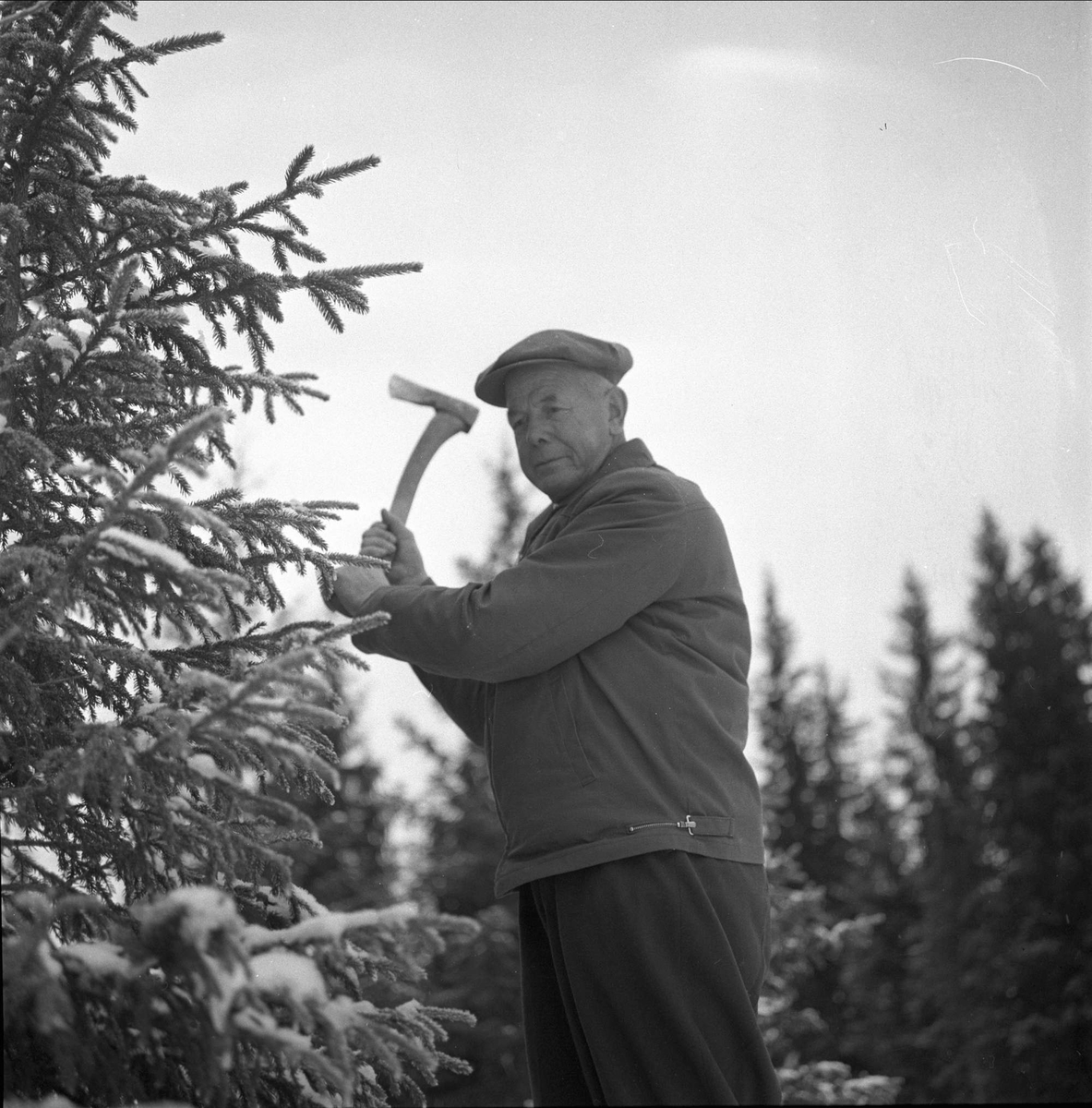 Skiforeningens løypeleggere i arbeid i Oslomarka, desember, 1958.