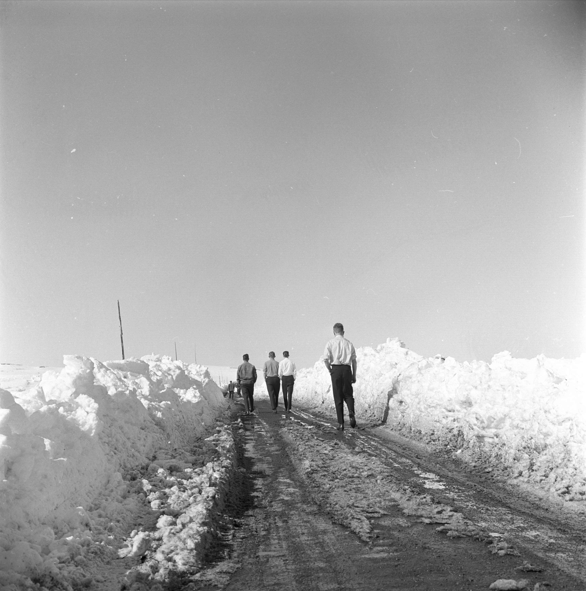 Riksvei 20, Hardangervidda, mai 1963. Veien åpnes etter vinteren. Mennesker på veien.