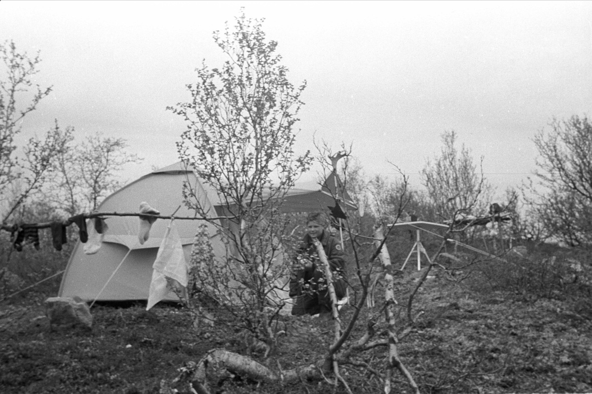 Fiske på Finnmarksvidda. Leir med telt.