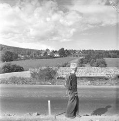 Rødtvet, Oslo, 25.09.1954. Vei, person og bondegård.