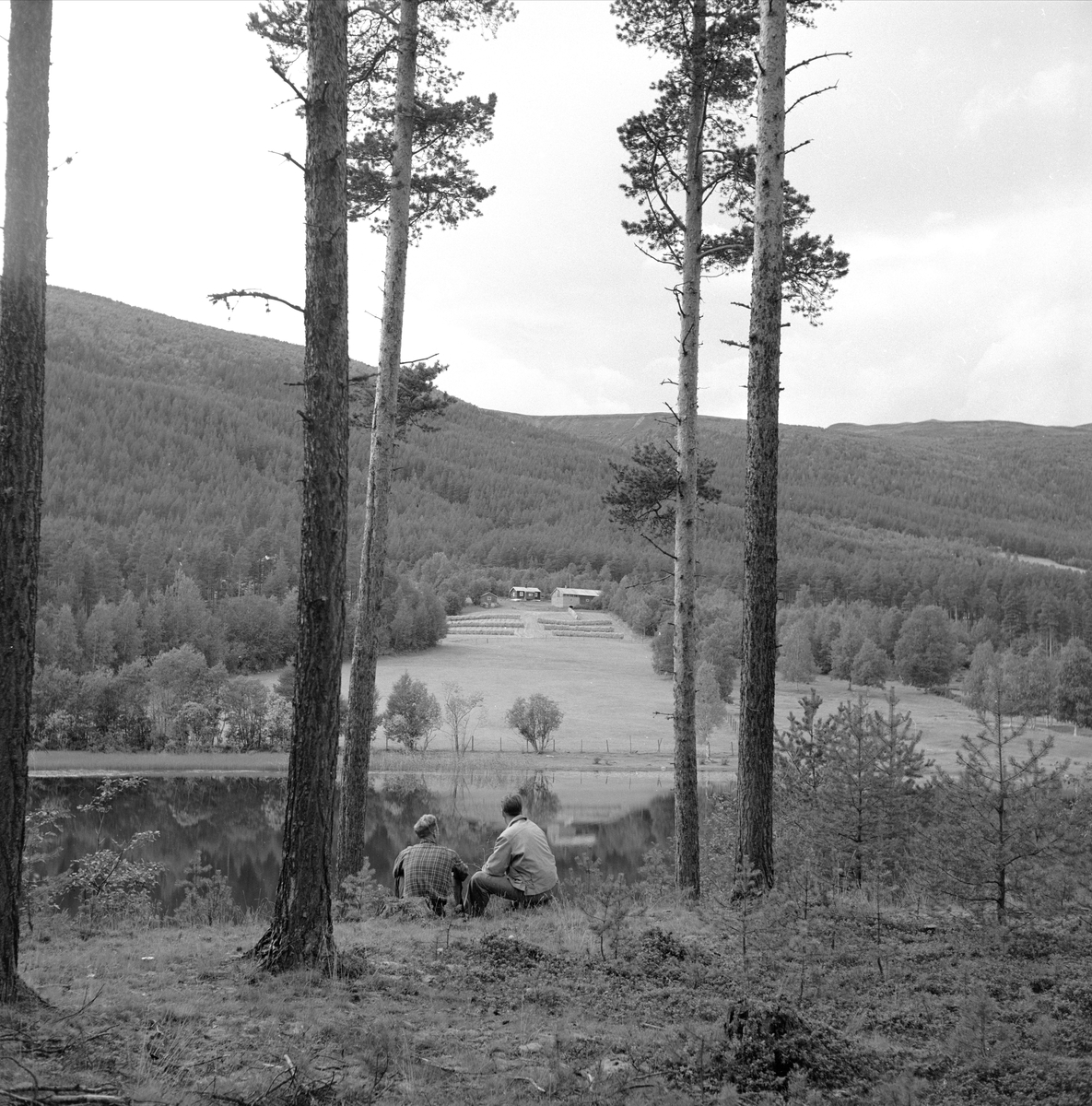Vigerust, Dovre, Oppland, august 1959. Landskap.