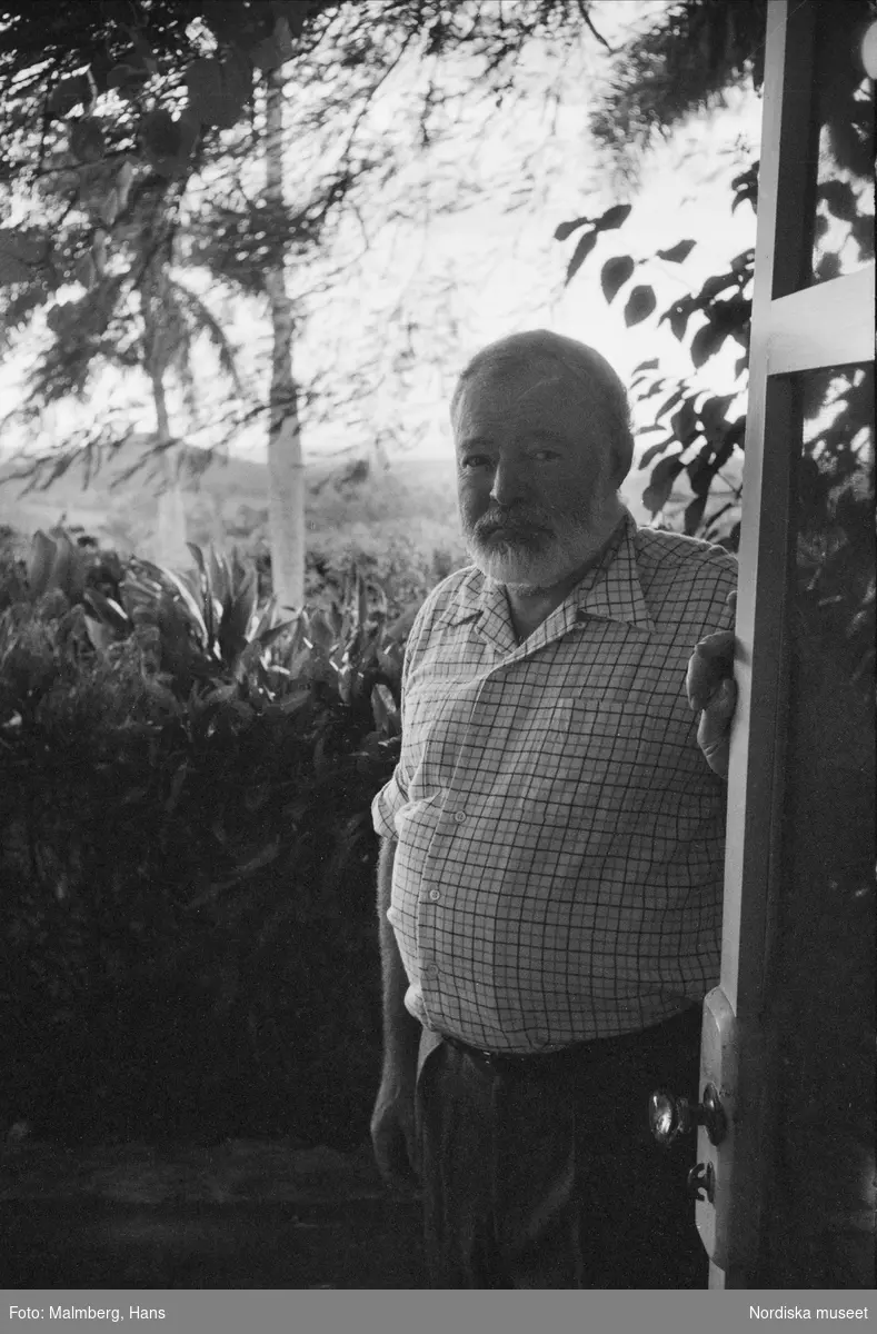 Ernest Hemingway (1899–1961), amerikansk författare, nobelpristagare i litteratur,  utanför sitt hem Finca Vigía, San Francisco de Paula, Kuba.