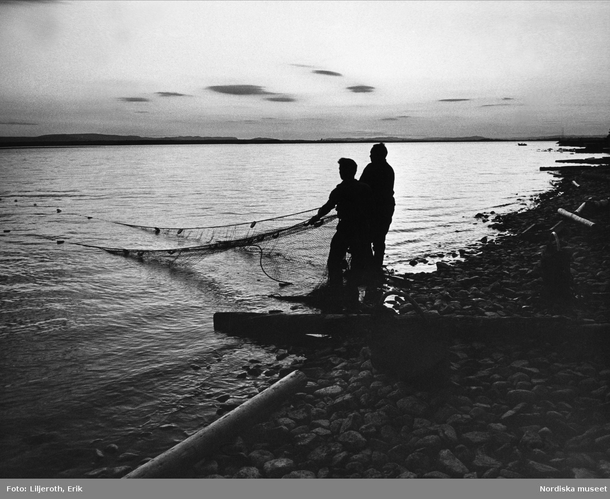 Två män som fiskar och drar sin landvad (nätet) in mot stranden,  en kväll på Siljan, Dalarna.