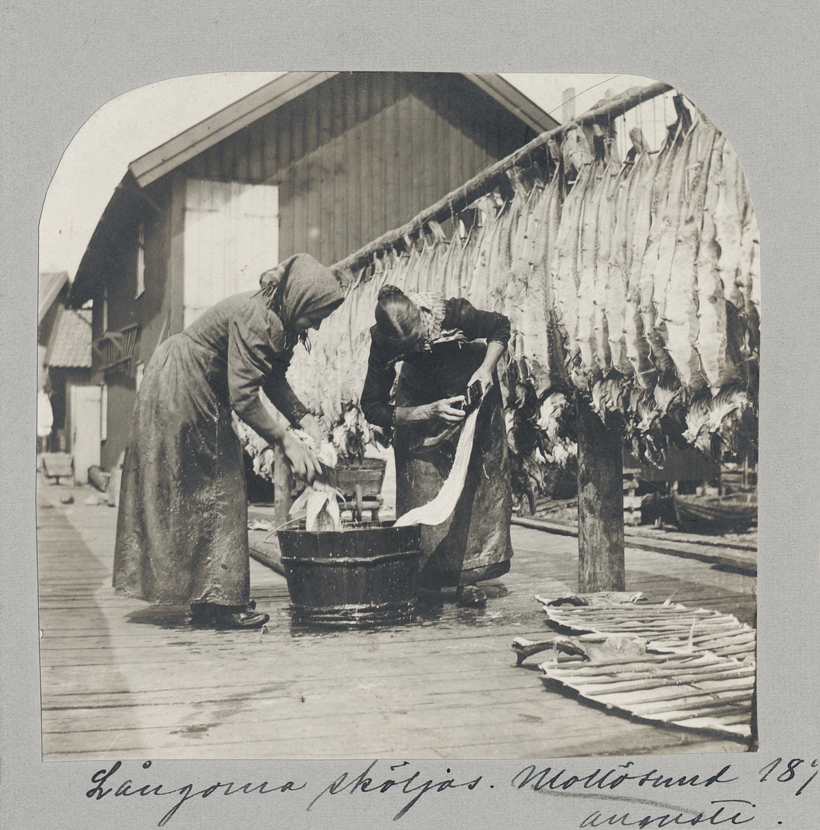 "Långorna sköljas. Mollösund augusti 1899". Två kvinnor sköljer fisk.