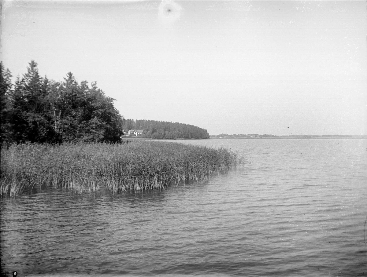 Svinnegarnsviken vid Väppeby, Enköings-Näs socken, Uppland september 1934