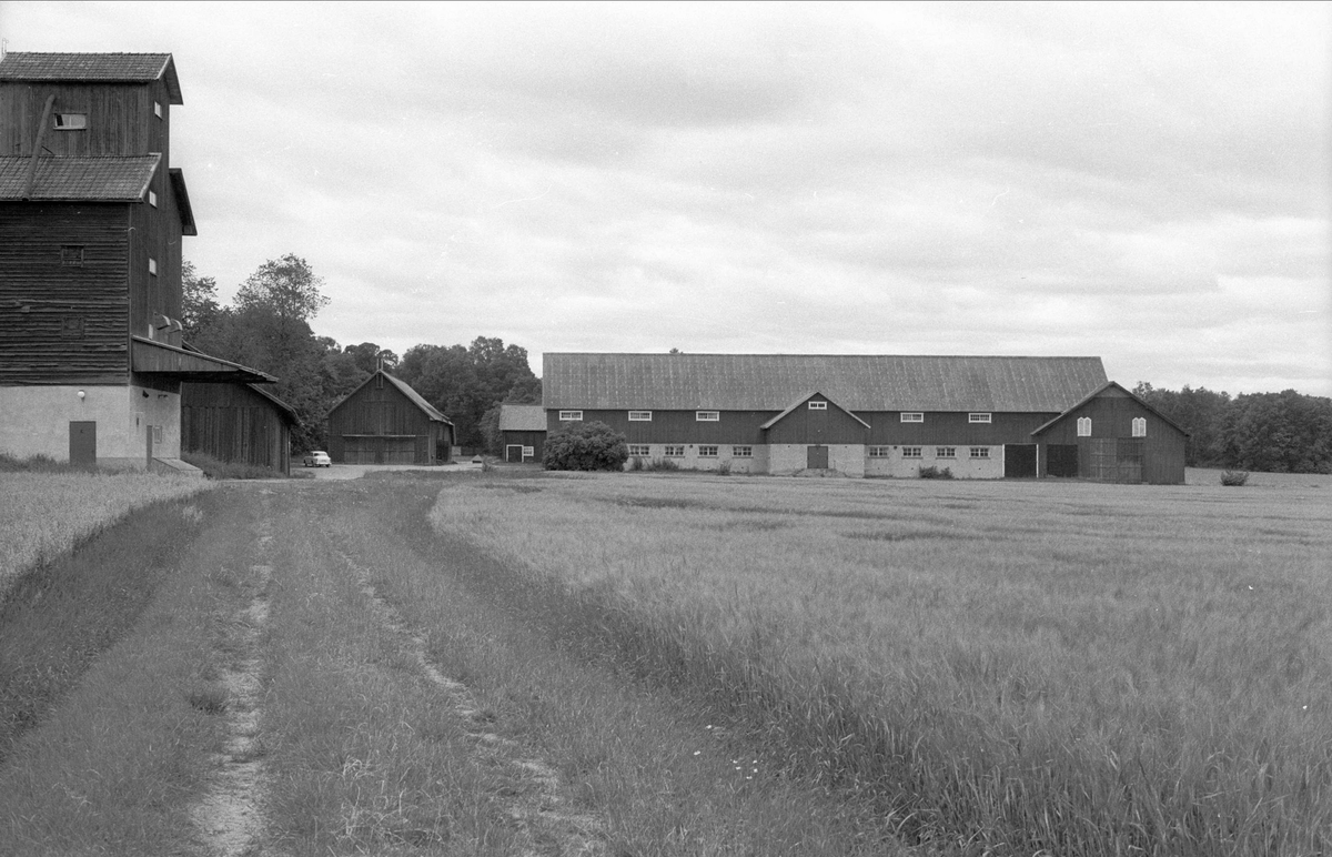 Vy över Hässelby 5:1, Börje socken, Uppland 1983