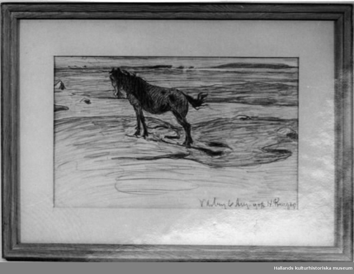 "Kustlandskap med häst". Häst stående på en klippavsats vid havet.