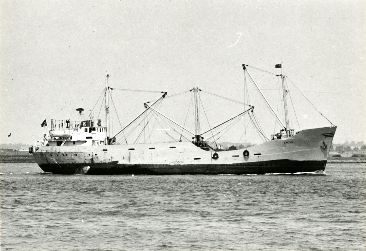 M/S Baltus (Ex. Nordhaug, Askvik, Anders)(b.1957, Falkenbergs Varv A/B, Falkenberg). Skips A/S Balticum (Minibulk Shipping, K. M. Kaalstad).
