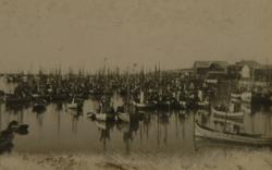 Fiskebåter i fiskevær, ukjent sted