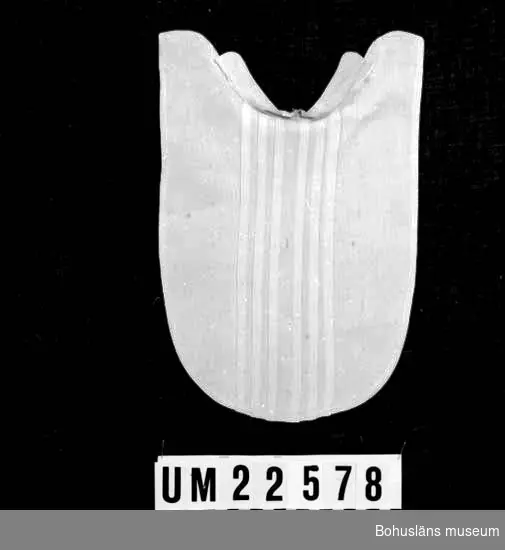 594 Landskap BOHUSLÄN

Småveckat vitt skjortbröst. I halslinningen siffrorna: "17198"

UMFF 121:11