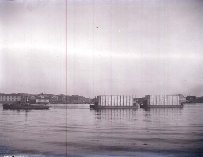 Fisktransport vid Marstrand
