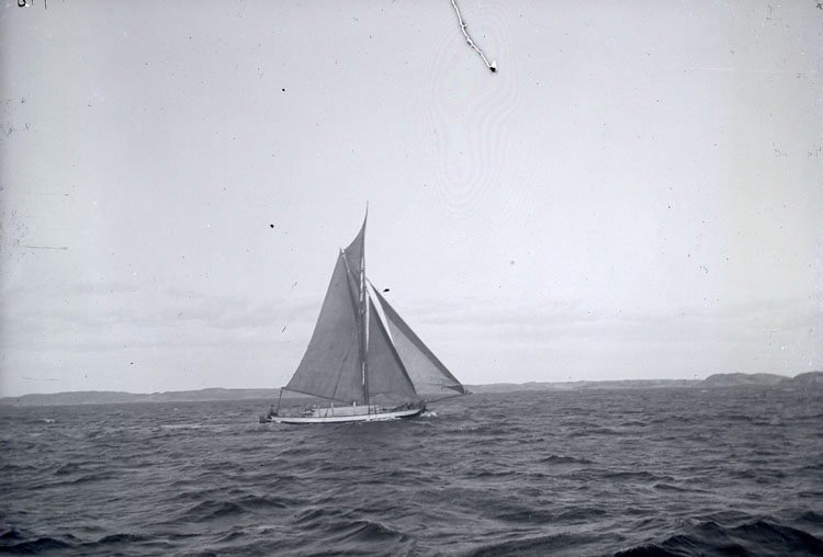 Trälastad jakt på Gullmaren 1912.