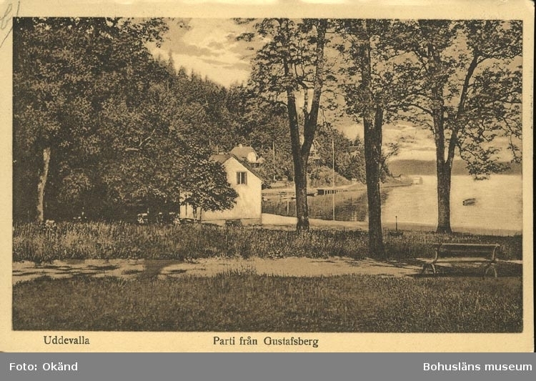 Tryckt text på vykortets framsida: "Parti från Gustafsberg."
