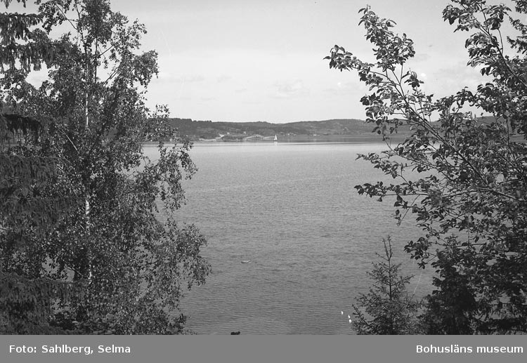 Enligt fotografens noteringar: "Motiv vid Högås, Bohuslän".