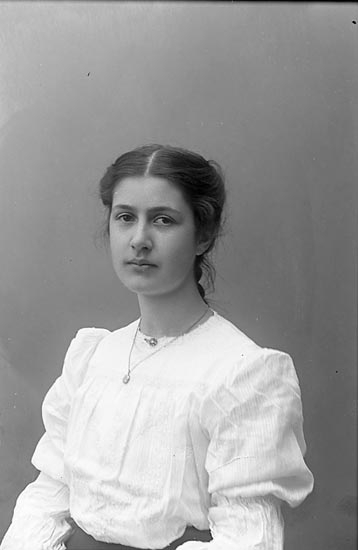 Enligt fotografens journal nr 1 1904-1908: "Nyblom Fr. Signe Spekeröd prästgård".