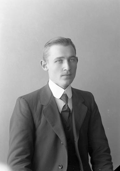 Enligt fotografens journal nr 2 1909-1915: "Johansson, Viktor Bua, Svenshögen".