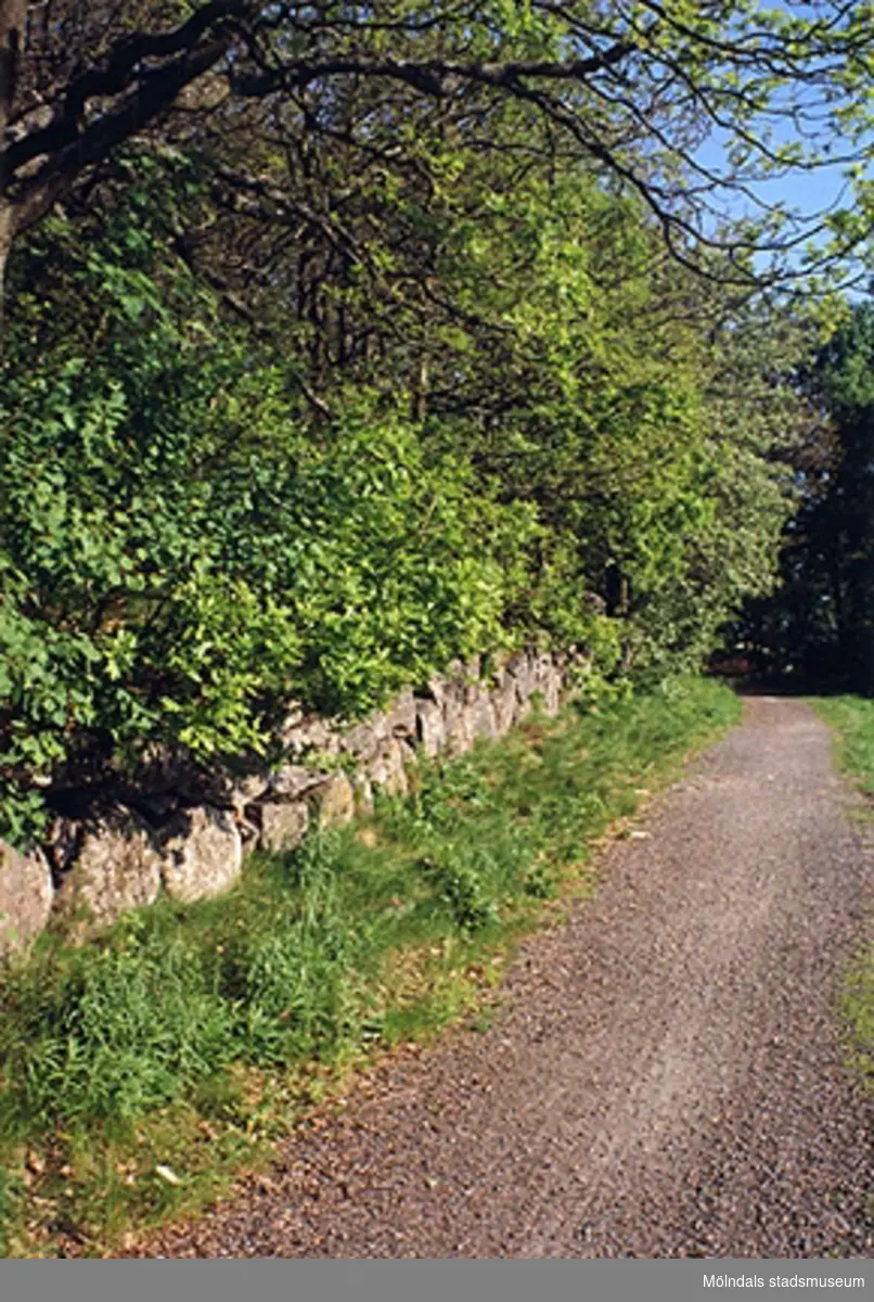 Grusväg längs muren vid Ekekullen.
