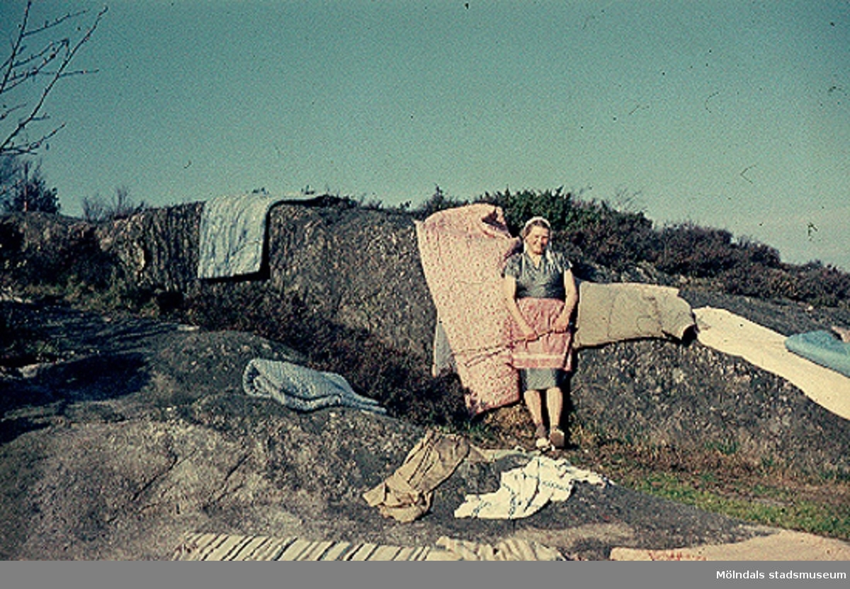 Greta Gustafsson skakar mattor vid sommarstugan på Valebergsvägen i Näset, 1957.