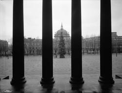 Julegranen på Universitetsplassen.