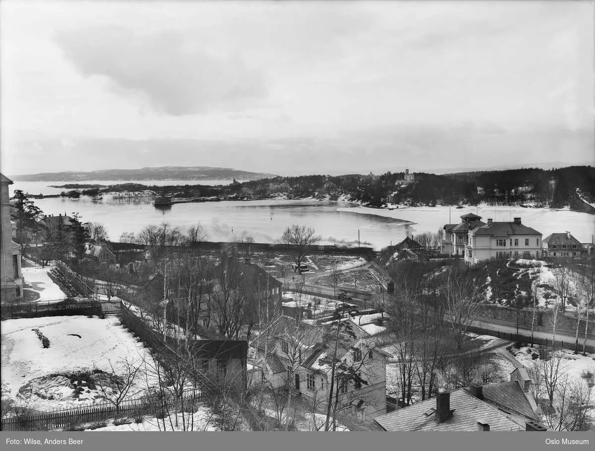 utsikt, fjord, villabebyggelse, Dronningen, Oscarshall