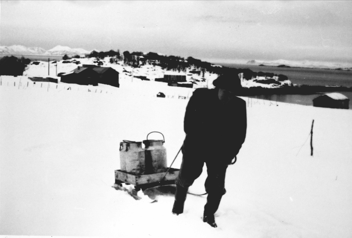 Edvard Ruud drar melkespann på kjelke over et snedekt jorde.