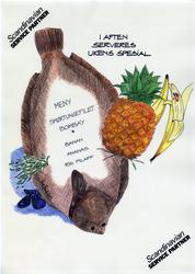 Illustrert aftenmeny fra Statfjordfeltet.

Tegnet av Randi