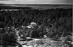 Skråfoto av hytte langt fra vannkanten. Vann i bakgrunnen.  