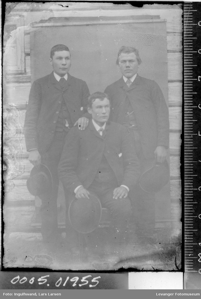 Portrett av tre brødre.