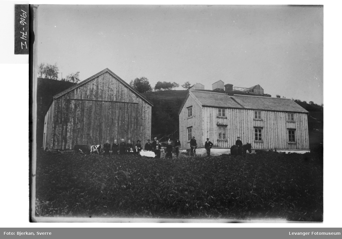 Bilde av gården Ødegård (tidligere Rokne lille) på Sætersmyra. I bakgrunn gården Rokne. Bildet er trolig tatt på Hanna Haldosdatter Rokne sin 55 årsdag 17. juli 1900.