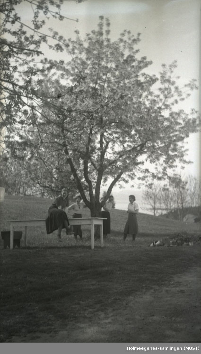 Fire unge kvinner utendørs under et stort tre. Den ene kvinnen sitter på et stort trebord foran treet. Til høyre i bildet ses flere plantekrukker, og i bakgrunnen er det utsikt utover vann.