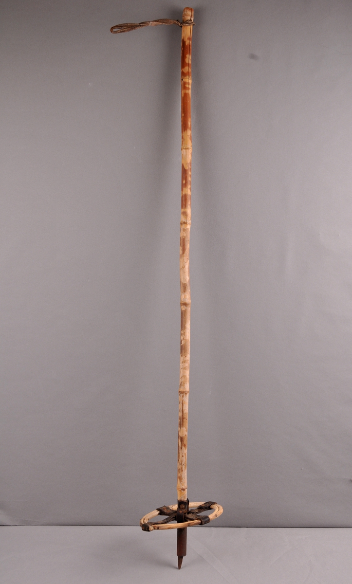 Bambusstav med beslag, pigg og trinse nede. Lærreim i toppen