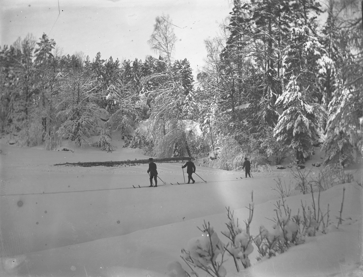 Skitur på Kalstad i Jan. 1915. Kragerø