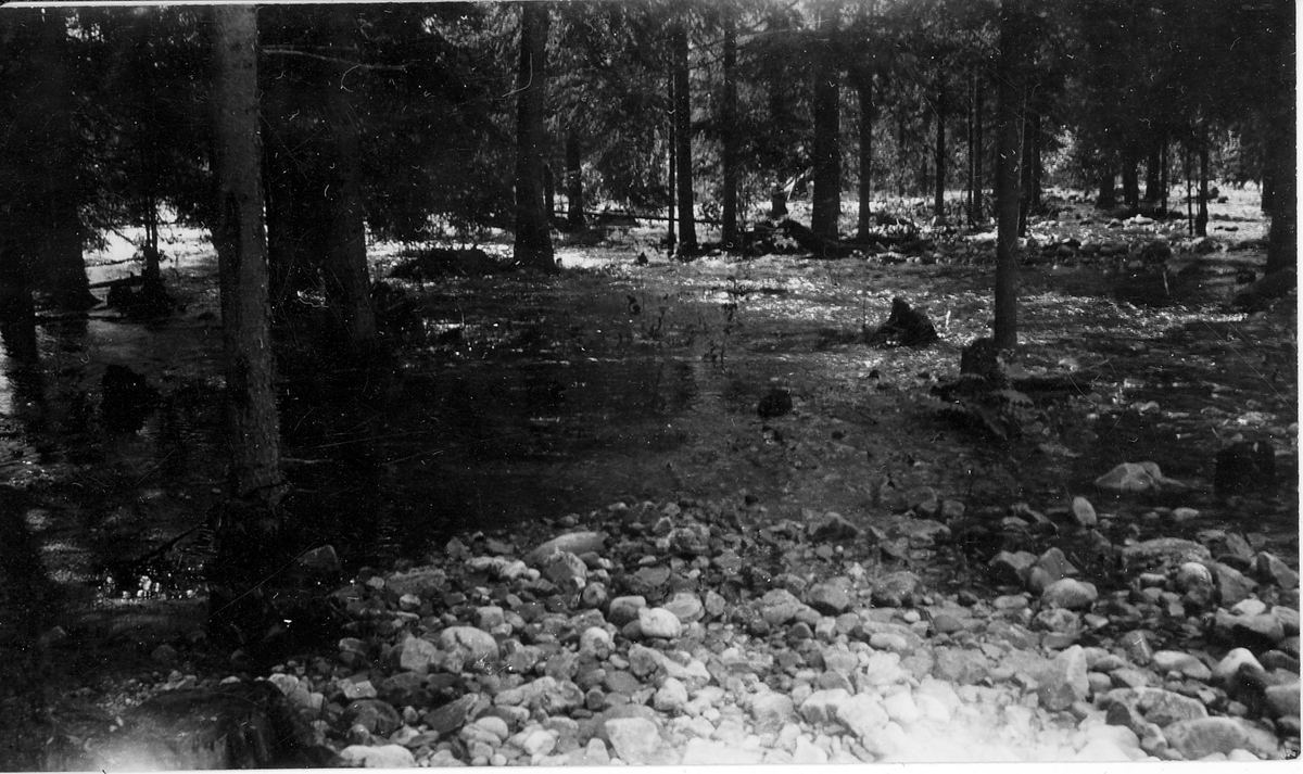 Oversvømmet ø ved Rauland Austbygde, 1927