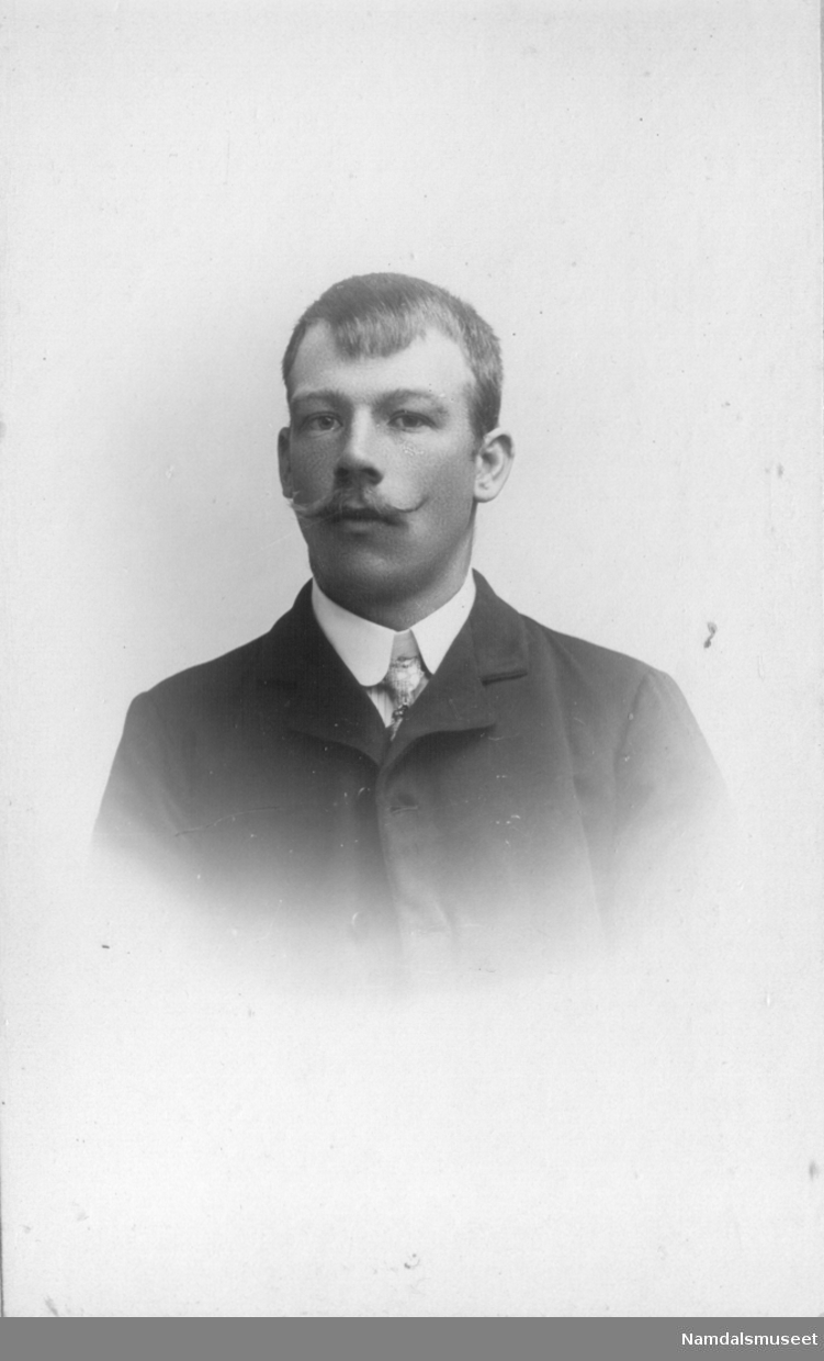 Portrett av en ung mann, med bart.
