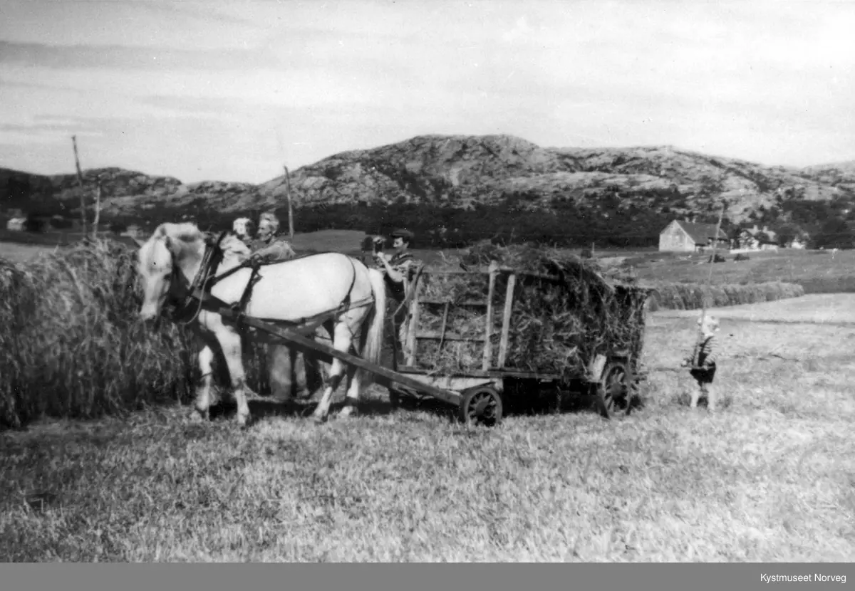 Flatanger, høyonn på Vik Søndre