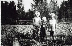 Frå venstre: Lilly Engene, Bjørn Hope og Marie Engene.  Bjør