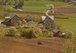 Ellinggarden på Overå. "Liabygdstova" som står på Sunnmøre M