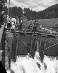 Vardens arkiv. "Turister på Telemarksbåten" 08.07.1953