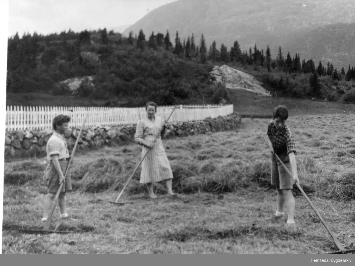 Kåing av turrfôr på Kyrkjebøen i Hemsedal ein gong på 1940-talet.
Karoline Kirkebøen (1921-2010), gift Steinmoen, saman med bygutar.
Stavkyrkjetomta i bakgrunnen.