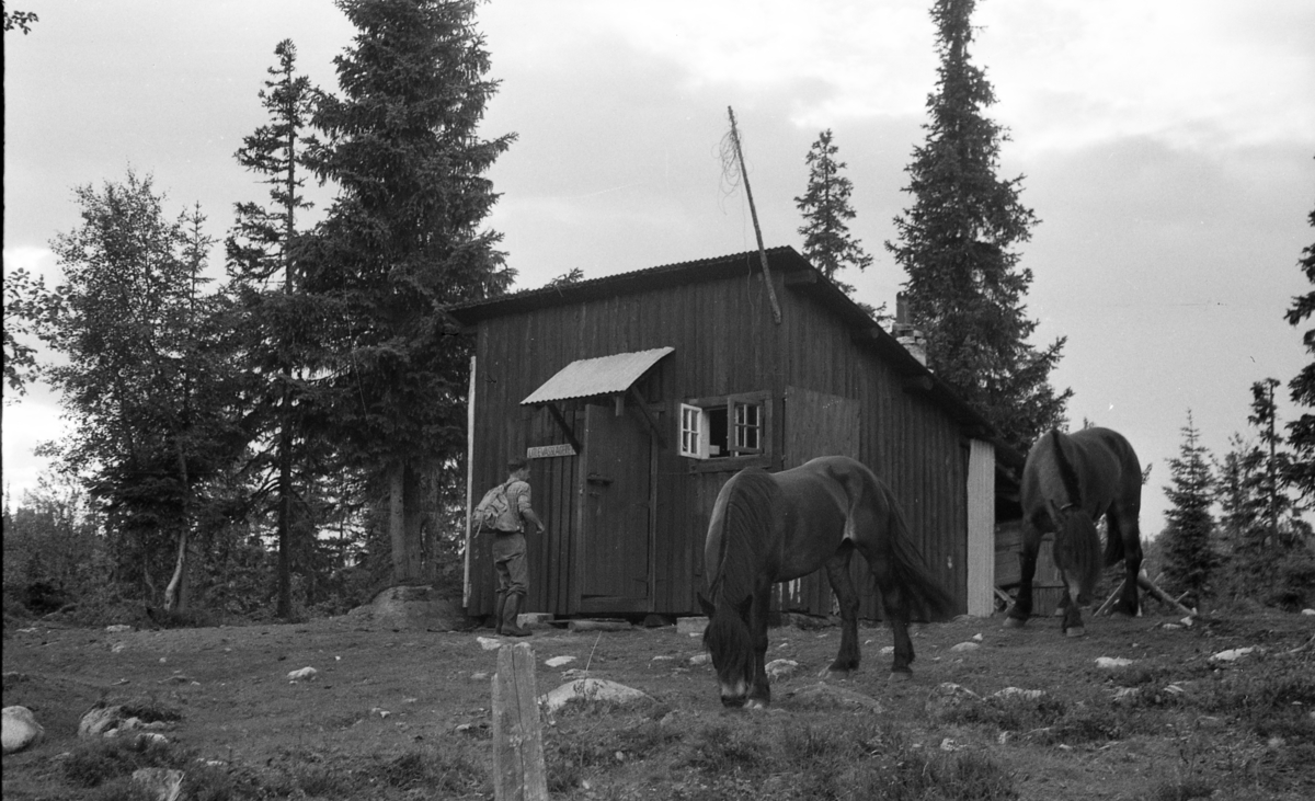 Ved Djupesjøen, Eggedal. Bildet er tatt i juli 1953.