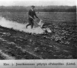 Kuv. 7. Juurikasmaan pölytys "Puhurilla" (Listo)
