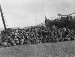 Nyttevekstforeningen