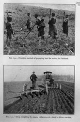 Landbrukshøgskolen, Prof. Christie