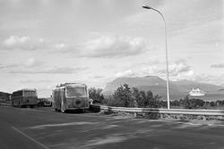 To busser og en VW-boble på busstopp ved Tjeldsundbrua. Crui