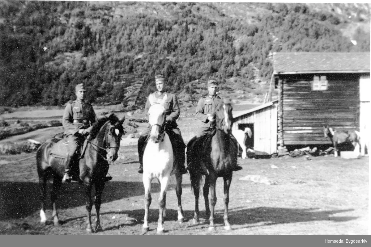Tyske soldatar. Tyskarane hadde oppstalla 11-16 hestar på garden Jordheim Nilsongard i Hemsedal. Kyrne måtte gardsfolket då ha på stølen.
