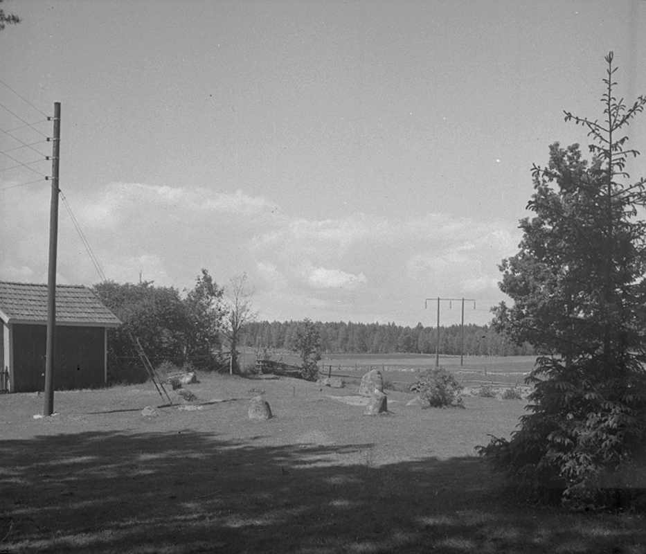 Ånnebrunn, domarringar.
26 juni 1952.